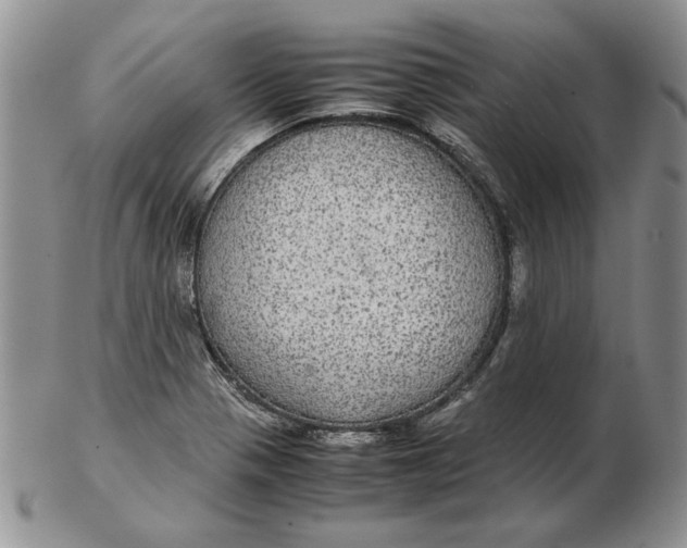 X0000102381321200808221753