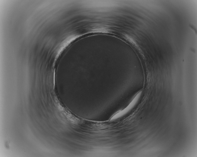 X0000102381323200808221753