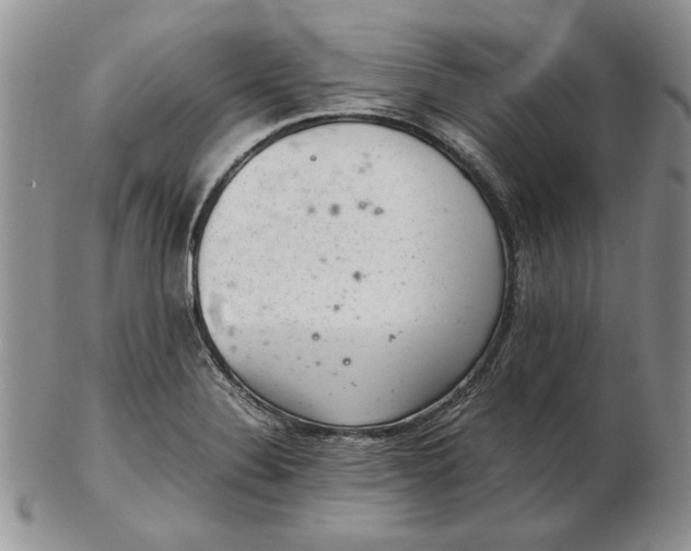 X0000102381324200808221753