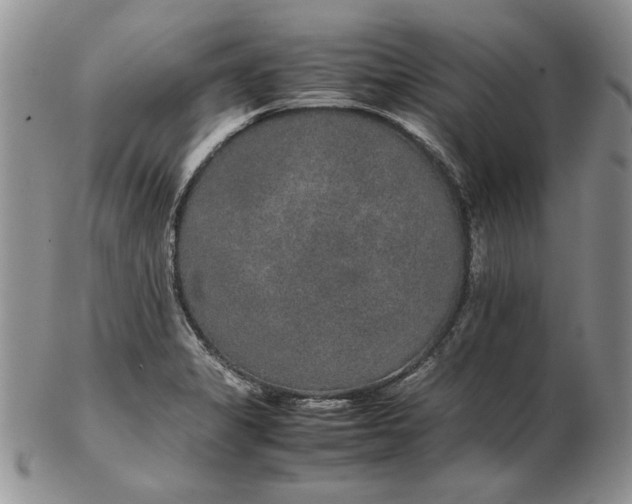 X0000102381325200808221753