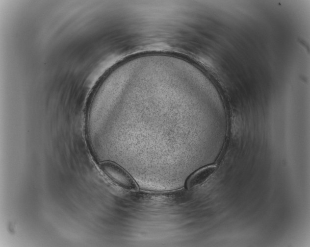 X0000102381326200808221753