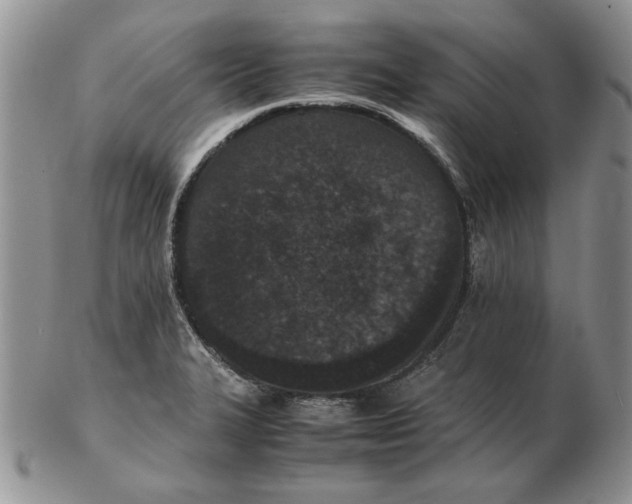 X0000102381327200808221753