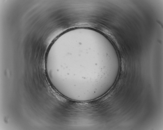 X0000102381328200808221753