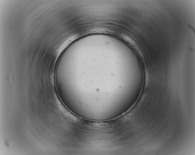 X0000102381330200808221753