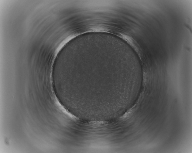 X0000102381331200808221753