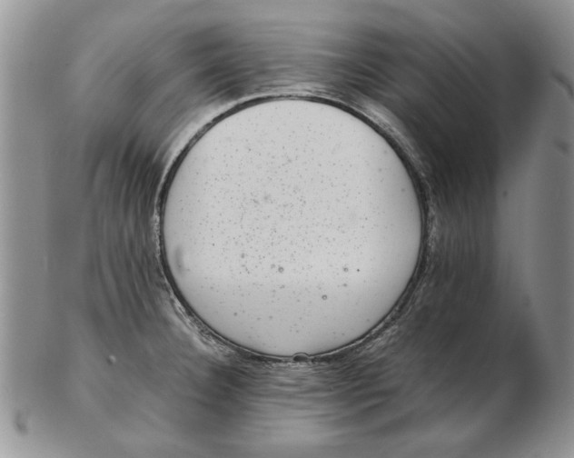 X0000102381332200808221753