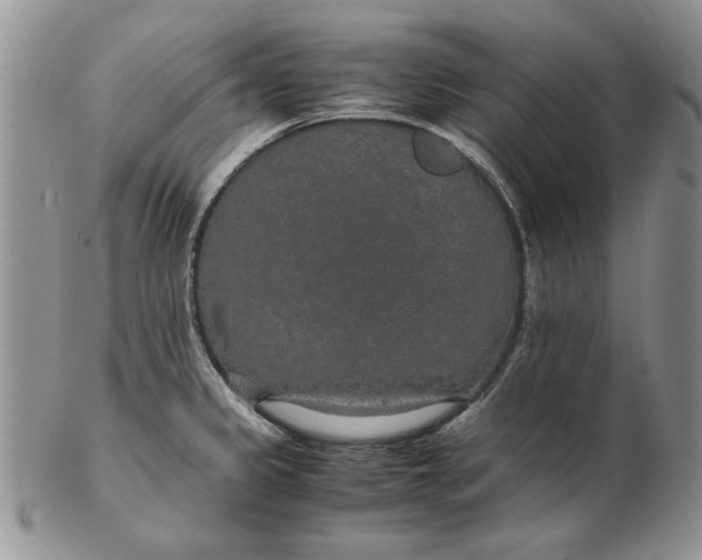 X0000102381333200808221753