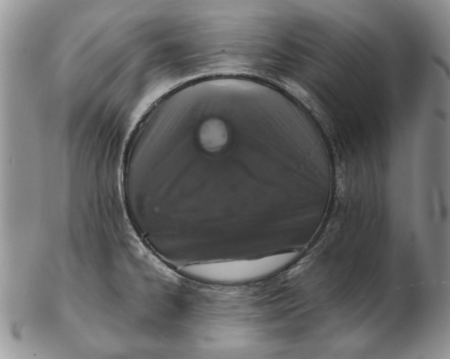 X0000102381334200808221753