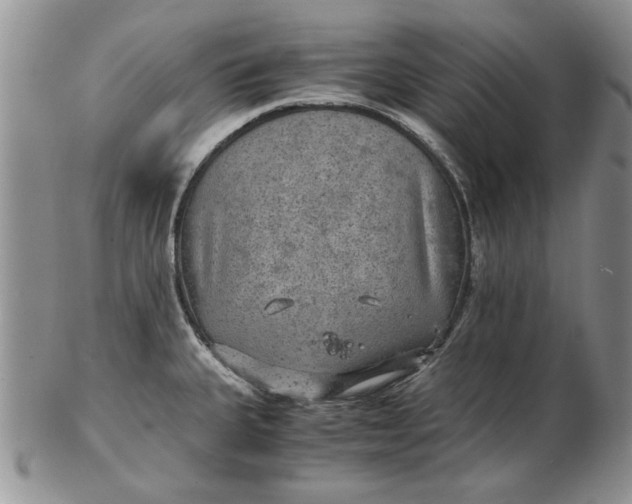 X0000102381335200808221753