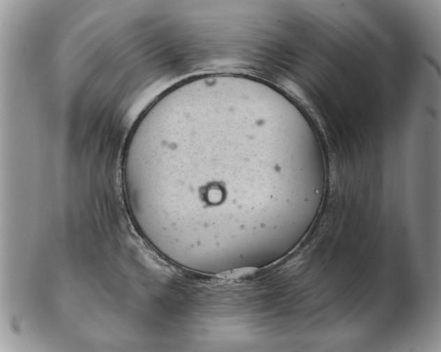 X0000102381336200808221753