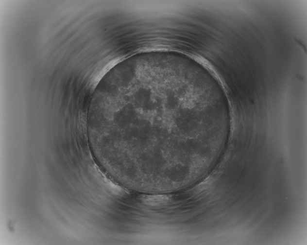 X0000102381337200808221753