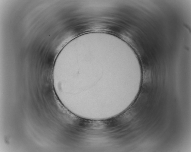 X0000102381338200808221753