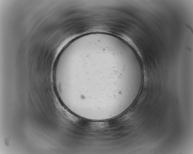 X0000102381339200808221753