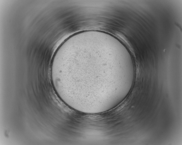 X0000102381340200808221753