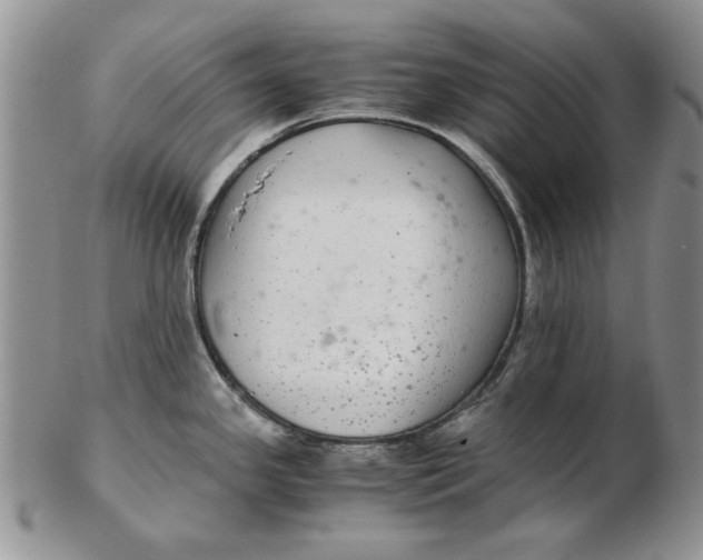 X0000102381341200808221753