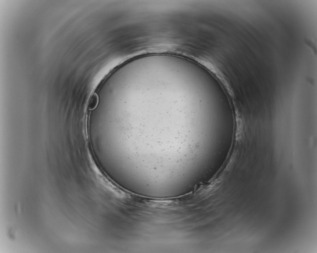 X0000102381342200808221753