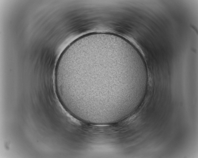 X0000102381343200808221753