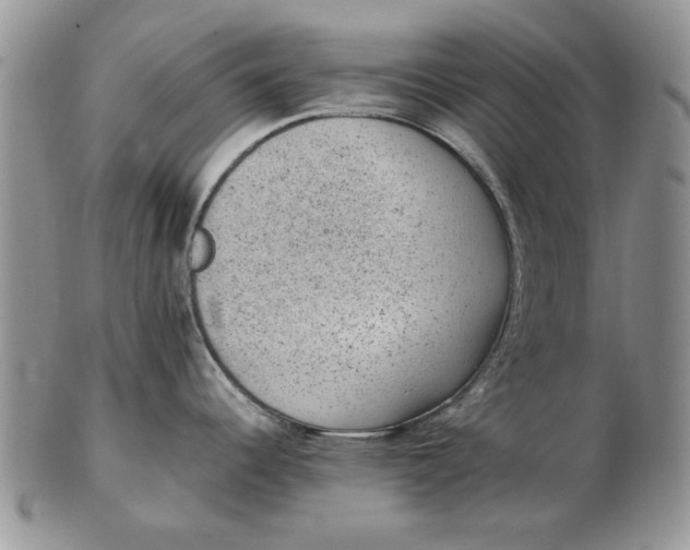 X0000102381344200808221753