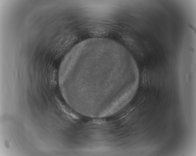 X0000102381346200808221753