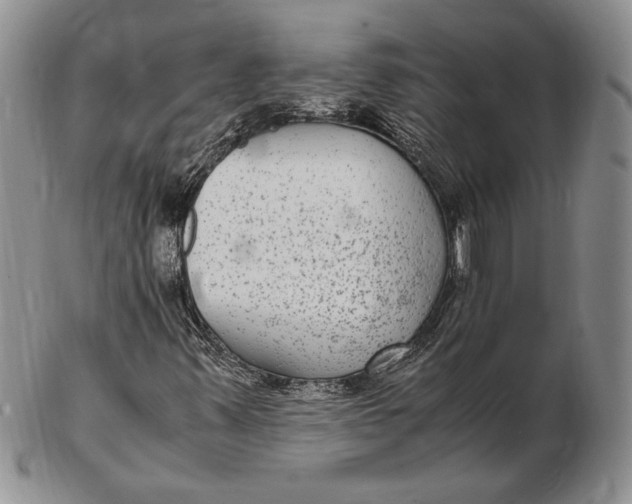 X0000102381347200808221753