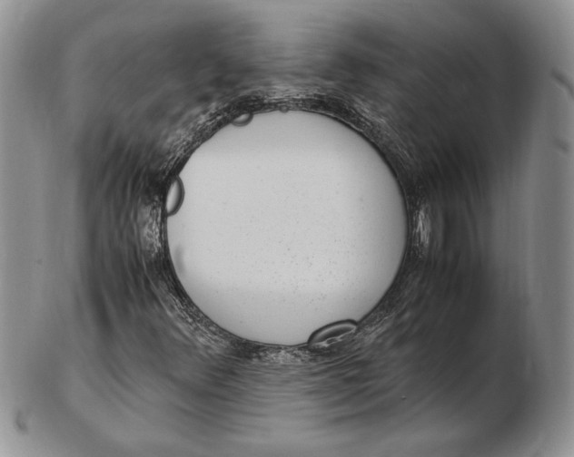 X0000102381348200808221753