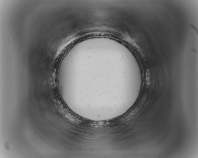 X0000102381352200808221753