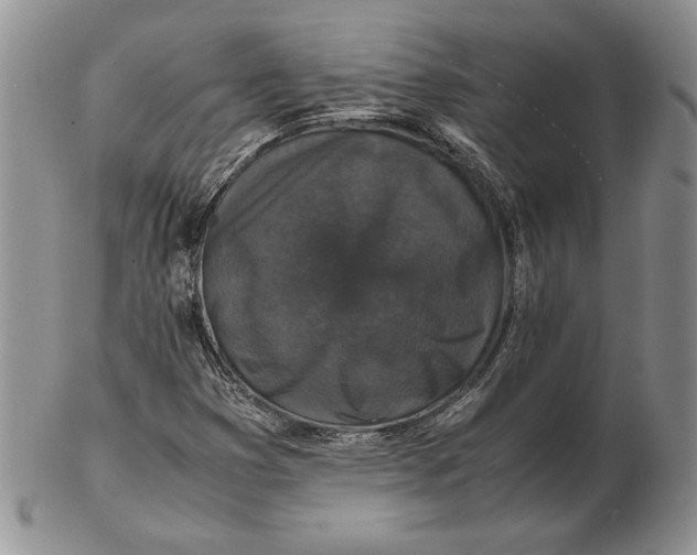 X0000102381353200808221753