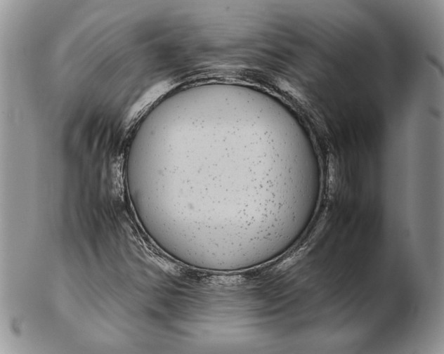 X0000102381354200808221753