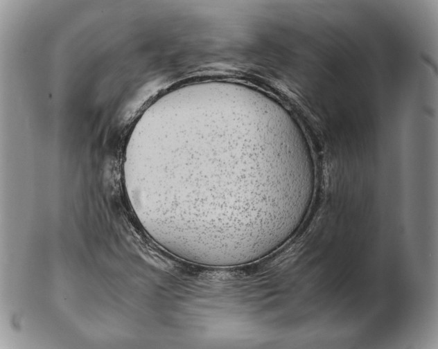 X0000102381355200808221753