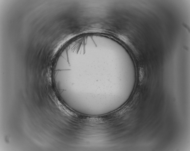 X0000102381356200808221753