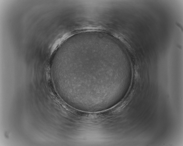 X0000102381357200808221753