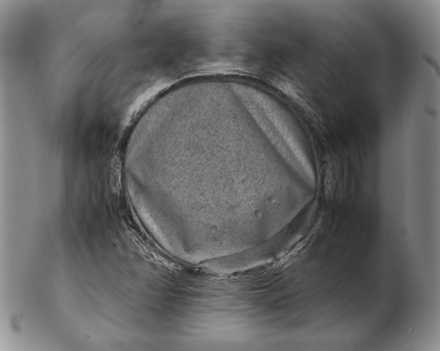 X0000102381358200808221753