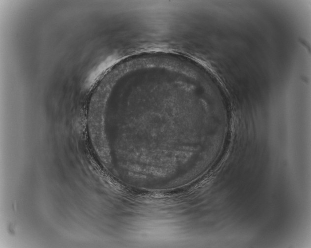 X0000102381359200808221753