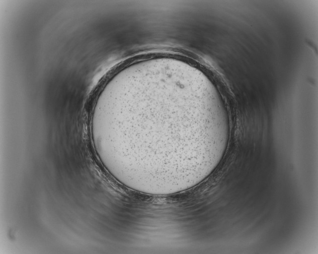 X0000102381360200808221753