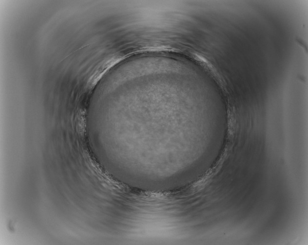 X0000102381361200808221753