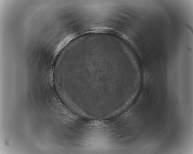 X0000102381362200808221753