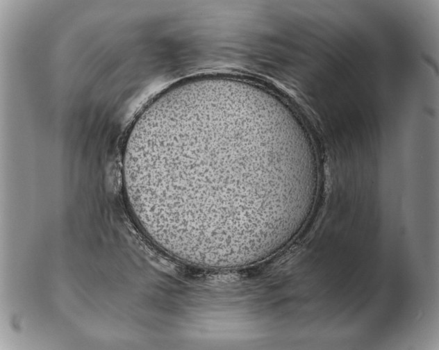 X0000102381363200808221752