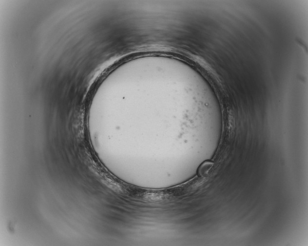 X0000102381364200808221752