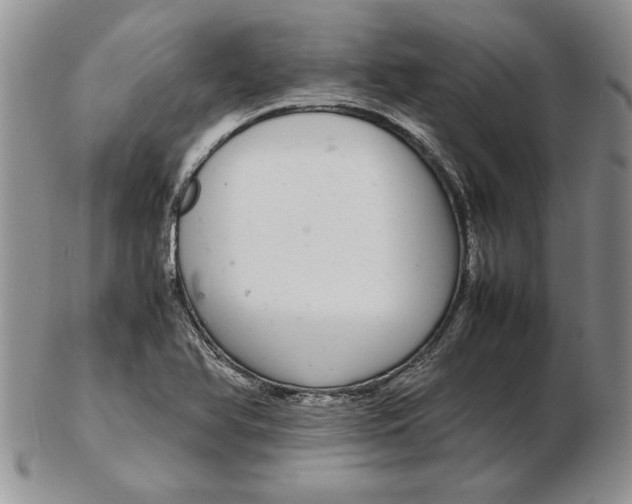 X0000102381366200808221752