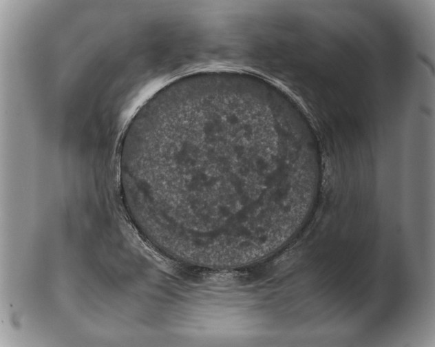 X0000102381367200808221752