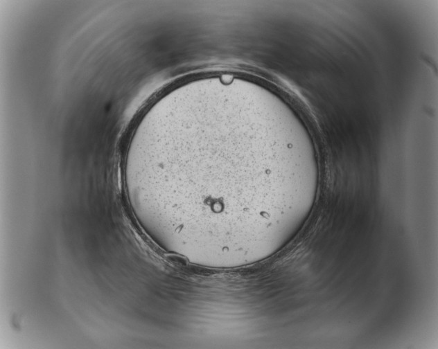 X0000102381368200808221752