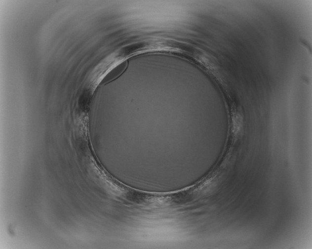 X0000102381369200808221752