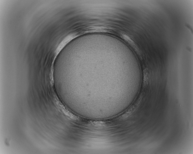 X0000102381370200808221752