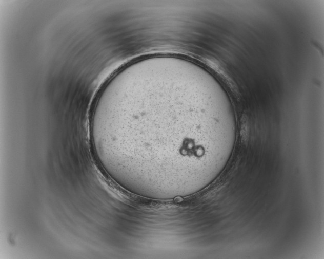 X0000102381372200808221752