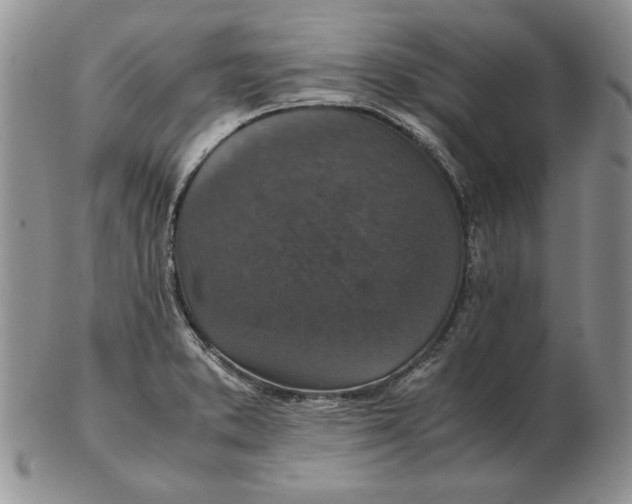 X0000102381373200808221752