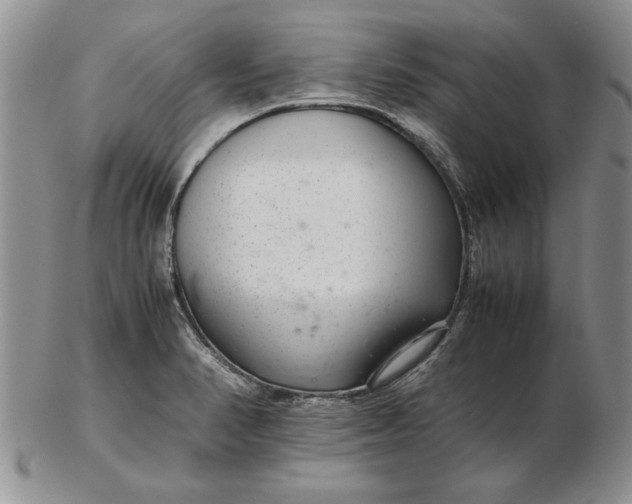 X0000102381374200808221752