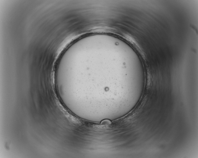 X0000102381376200808221752