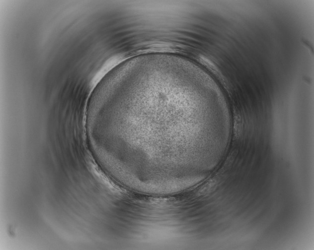 X0000102381378200808221752