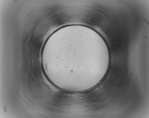 X0000102381380200808221752