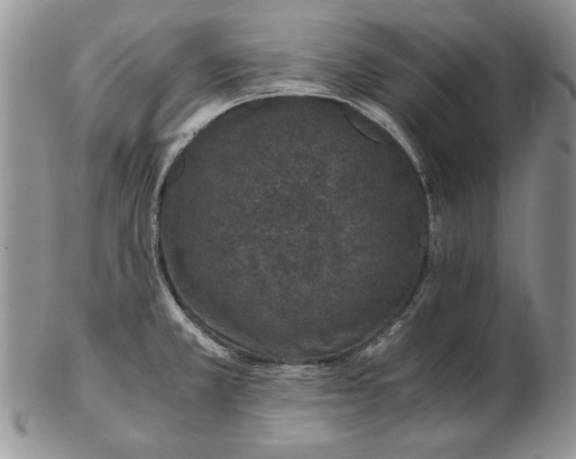 X0000102381381200808221752